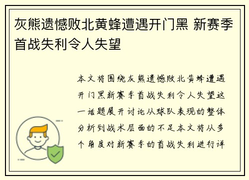 灰熊遗憾败北黄蜂遭遇开门黑 新赛季首战失利令人失望
