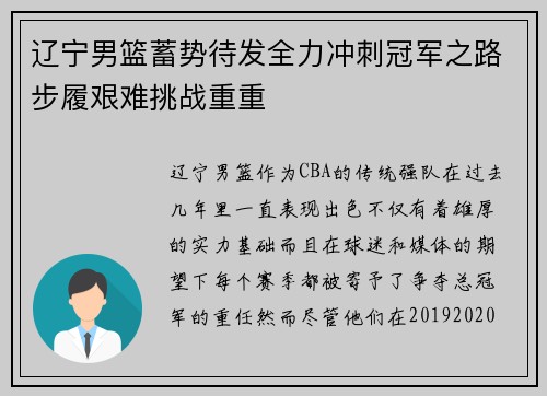 辽宁男篮蓄势待发全力冲刺冠军之路步履艰难挑战重重