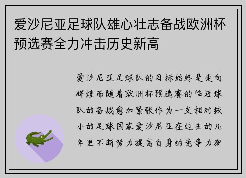 爱沙尼亚足球队雄心壮志备战欧洲杯预选赛全力冲击历史新高